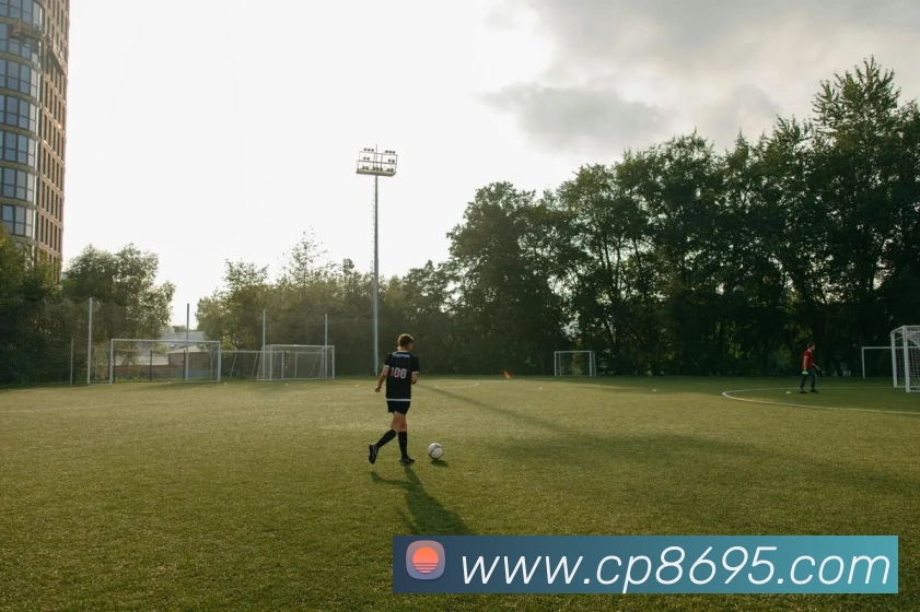 大发彩票APP 高清赛事图
